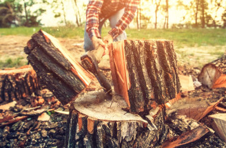Palivové drevo - ktoré druhy dreva sú vhodné a ako ich správne spracovat a skladovať?