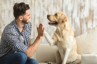Starostlivosť o psíka: Čo všetko je dôležité a netreba podceniť?