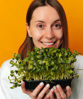 Mikrozelenina alebo microgreens – ako si doma pestovať túto vitamínovú bombu?