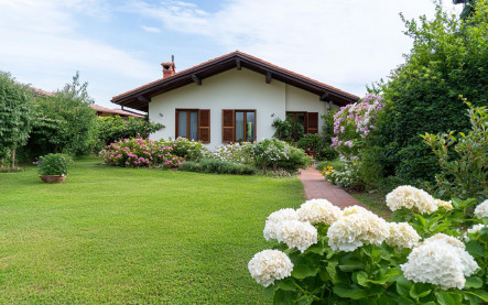 investícia do nehnuteľnosti