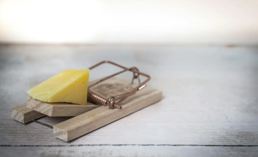 Prírodné vs. moderné odpudzovače hlodavcov