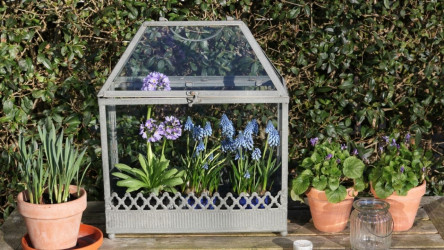 Vyrobte si domáci mini skleník. Rastlinky ho budú zbožňovať!