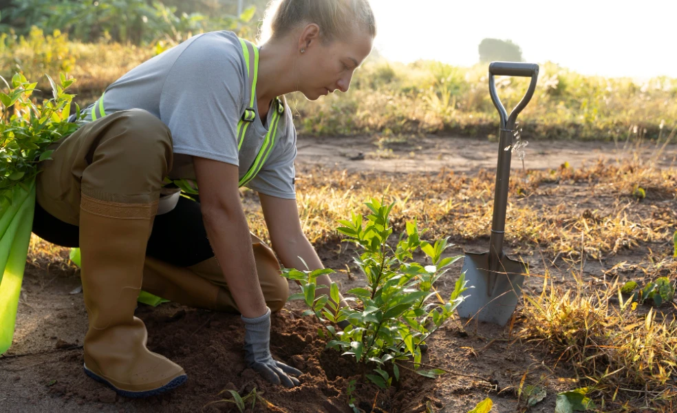najčastejšie chyby záhradkárov na jar