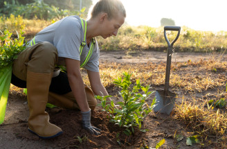 Najčastejšie jarné chyby záhradkárov: Tieto prešľapy vás môžu stáť celú sezónu