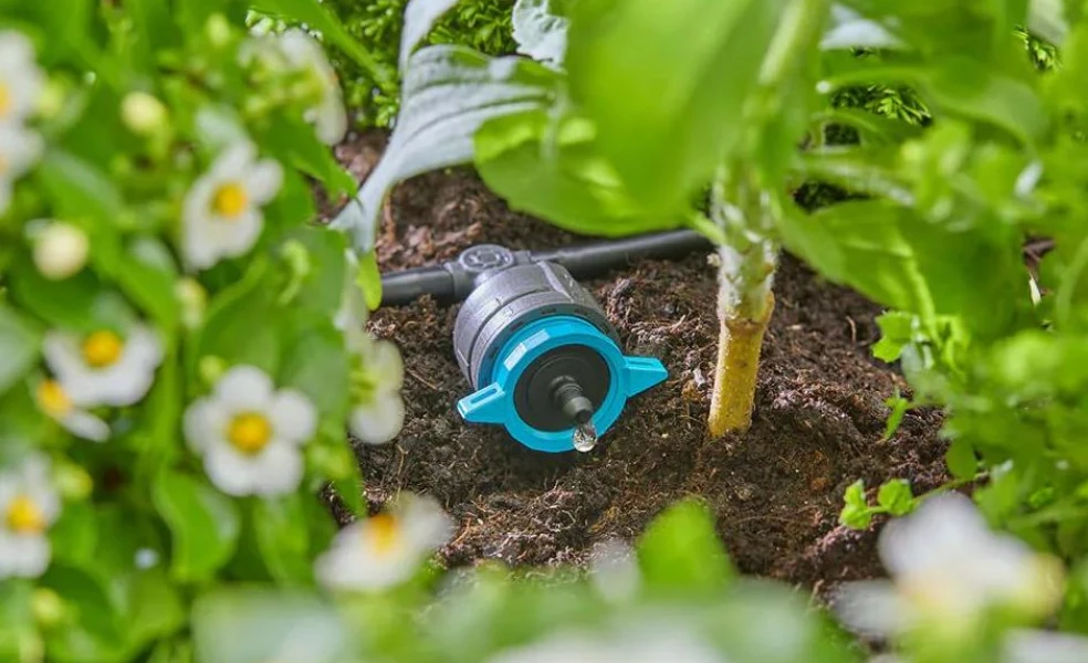 Úsporné zavlažovanie záhrady kvapková závlaha, hadice a nádrže na dažďovú vodu