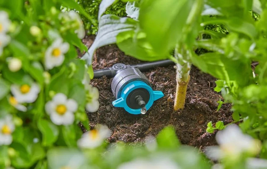 Úsporné zavlažovanie záhrady kvapková závlaha, hadice a nádrže na dažďovú vodu