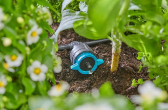 Úsporné metódy zavlažovania, kvapková závlaha