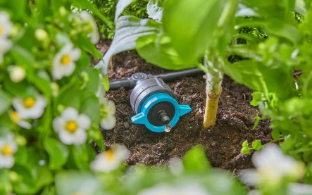 Úsporné zavlažovanie záhrady kvapková závlaha, hadice a nádrže na dažďovú vodu