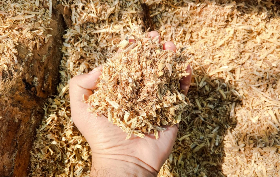 Kopa drevených pilín a hoblín v ruke v dielni